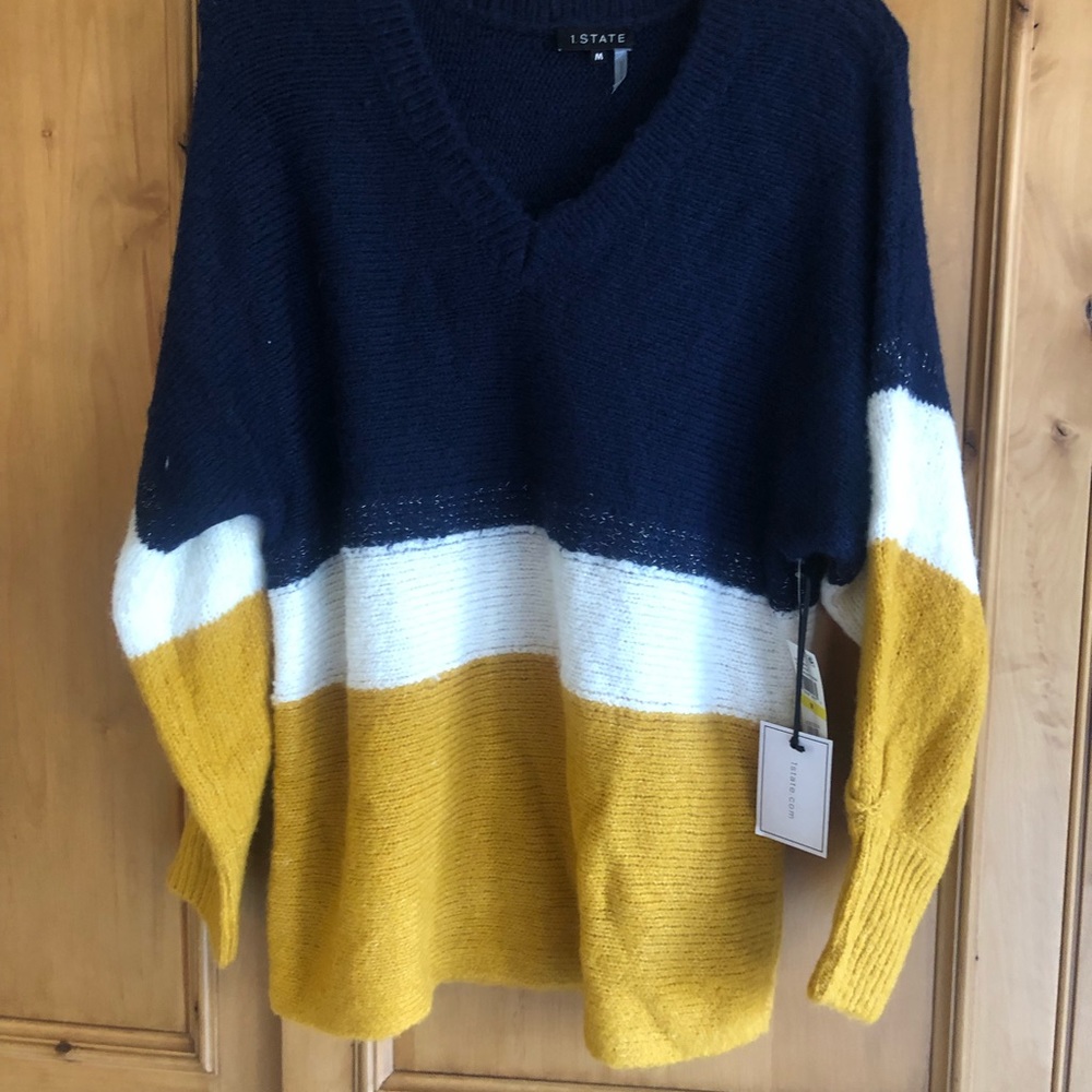 V neck tunic sweater